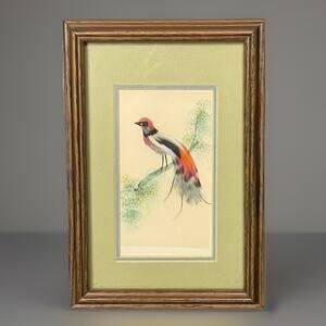 Vintage Feather Bird Art Framed Mid Century Colorful Nature Wall Hanging Folk